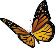 Monarch butterfly, a personal symbol of Lyle Olson